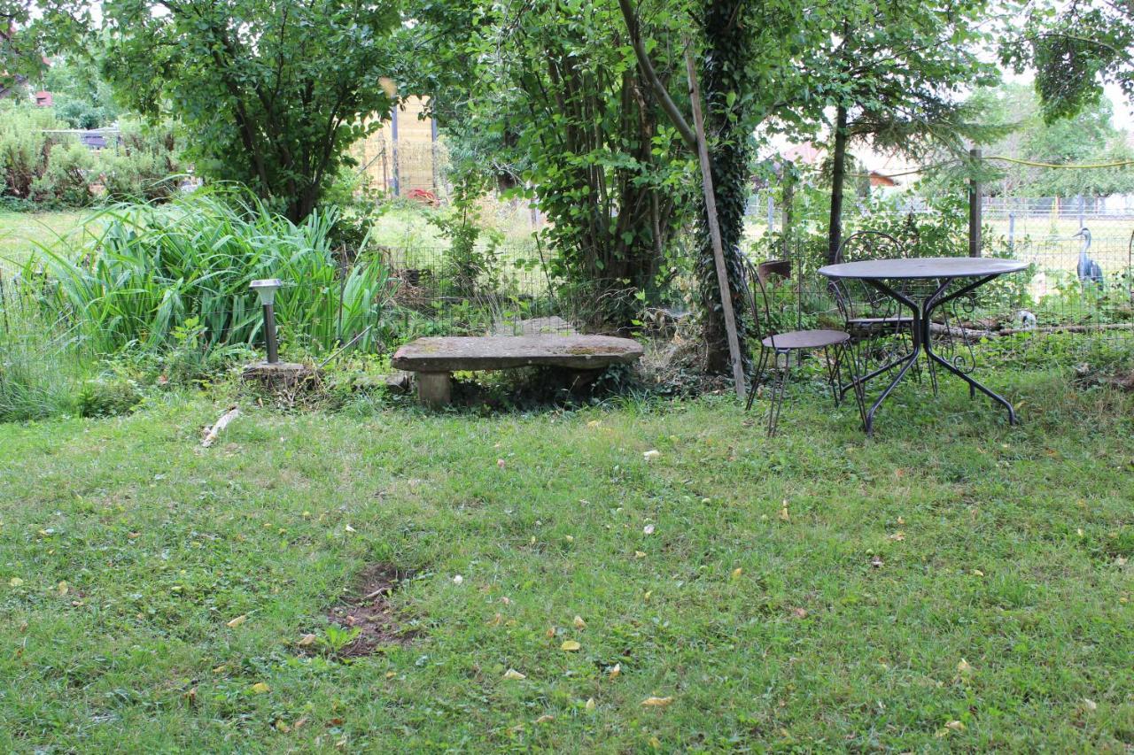 Gites Riviere Et Colline Niedermodern Dış mekan fotoğraf